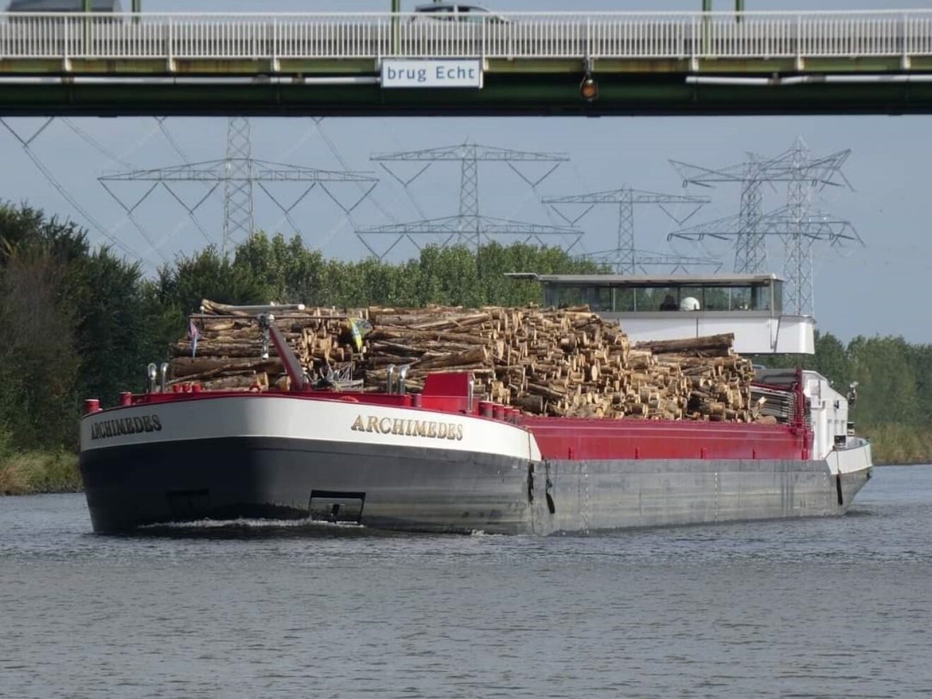 ms Archimedes geladen met boomstammen (breakbulk)